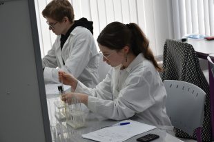 Состоялась областная олимпиада по химии для студентов профессиональных образовательных учреждений Владимирской области